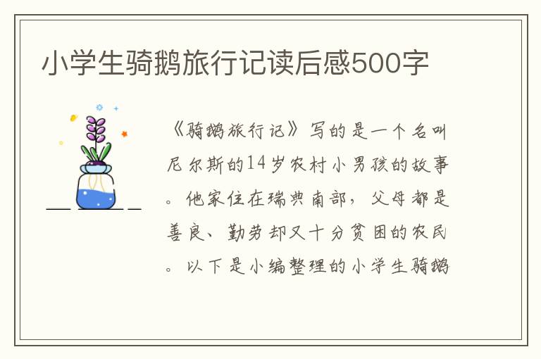 小學(xué)生騎鵝旅行記讀后感500字