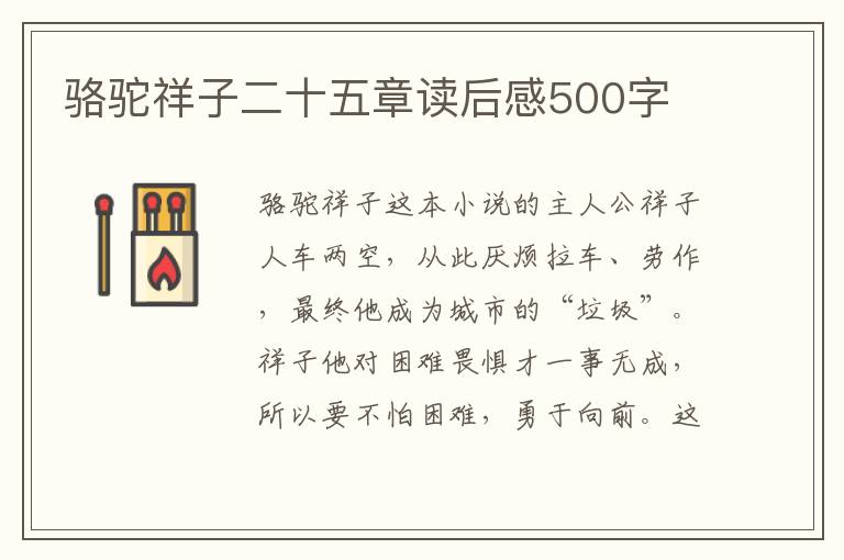 駱駝祥子二十五章讀后感500字