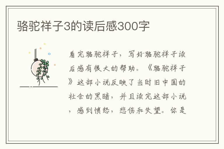 駱駝祥子3的讀后感300字