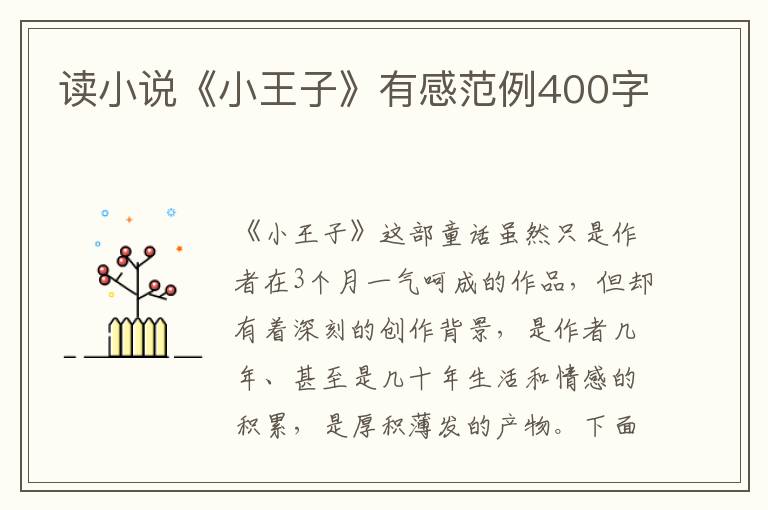 讀小說《小王子》有感范例400字