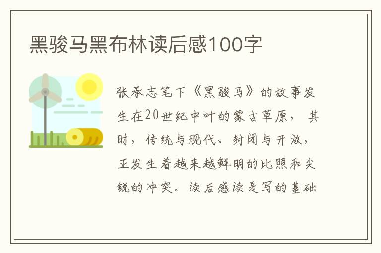 黑駿馬黑布林讀后感100字