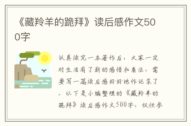 《藏羚羊的跪拜》讀后感作文500字