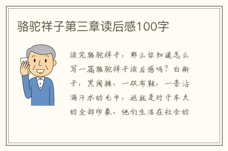 駱駝祥子第三章讀后感100字