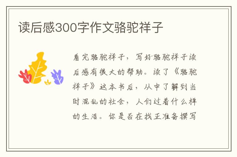 讀后感300字作文駱駝祥子