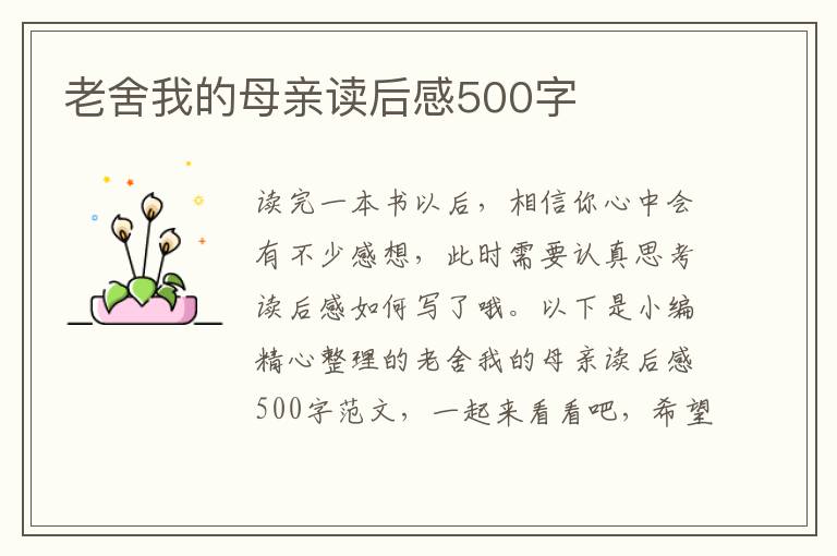 老舍我的母親讀后感500字