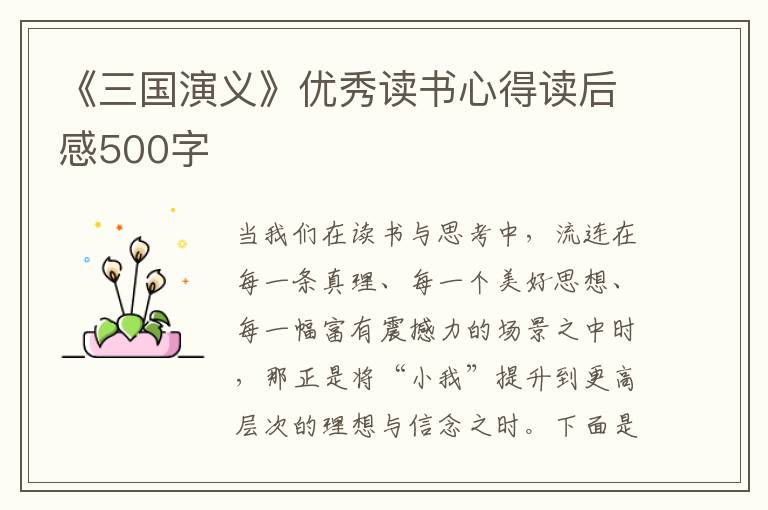 《三國演義》優(yōu)秀讀書心得讀后感500字