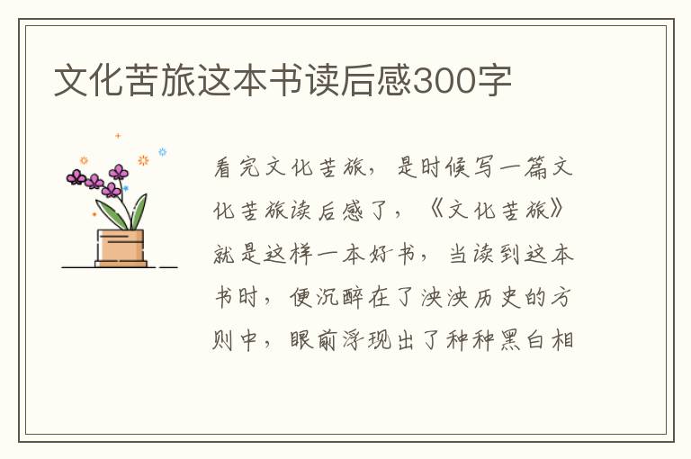 文化苦旅這本書(shū)讀后感300字