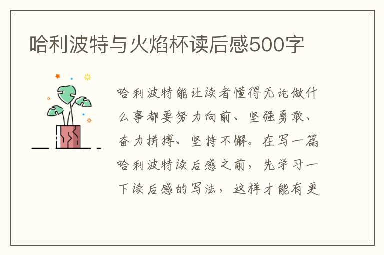 哈利波特與火焰杯讀后感500字