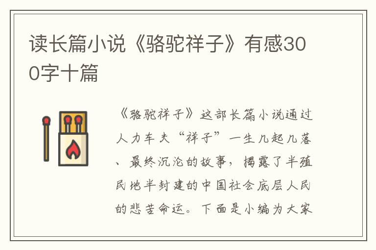 讀長(zhǎng)篇小說(shuō)《駱駝祥子》有感300字十篇