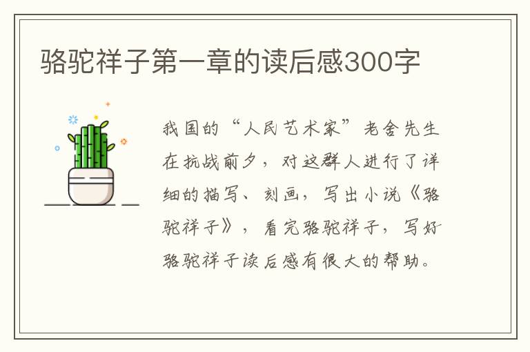 駱駝祥子第一章的讀后感300字