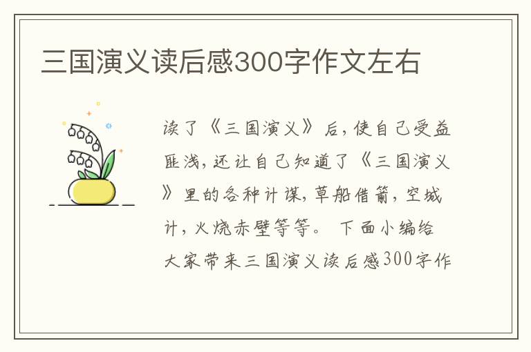 三國演義讀后感300字作文左右