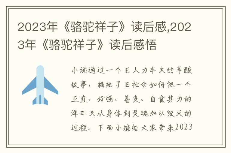 2023年《駱駝祥子》讀后感,2023年《駱駝祥子》讀后感悟