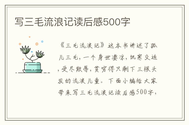 寫三毛流浪記讀后感500字