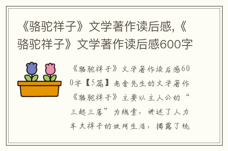 《駱駝祥子》文學著作讀后感,《駱駝祥子》文學著作讀后感600字