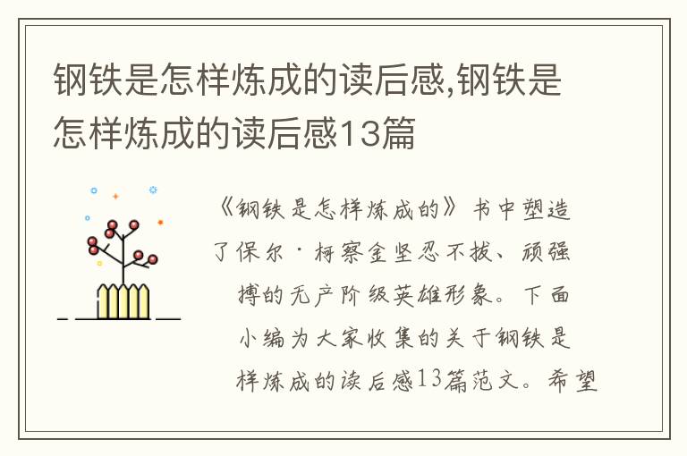 鋼鐵是怎樣煉成的讀后感,鋼鐵是怎樣煉成的讀后感13篇