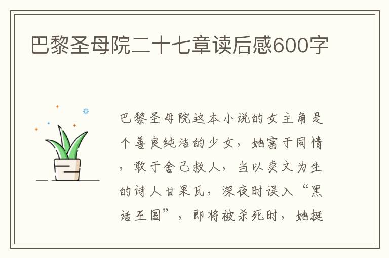 巴黎圣母院二十七章讀后感600字