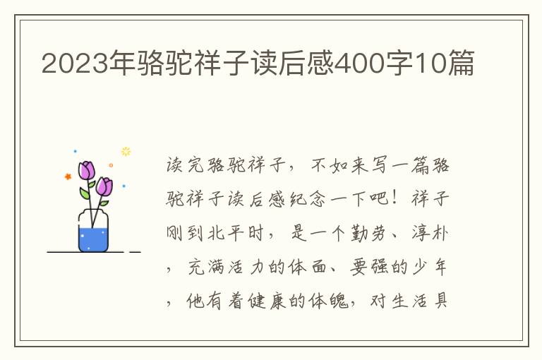 2023年駱駝祥子讀后感400字10篇