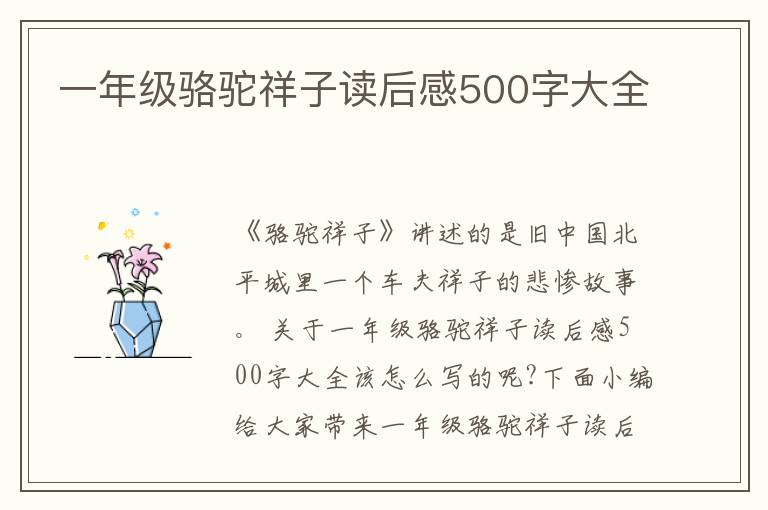 一年級駱駝祥子讀后感500字大全