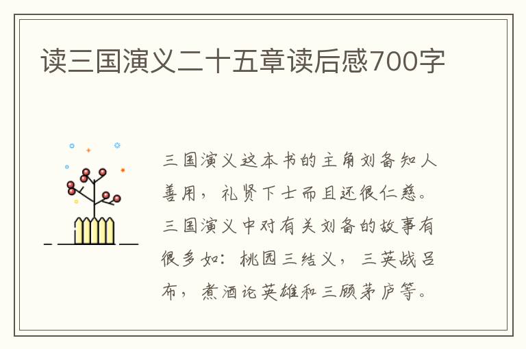 讀三國演義二十五章讀后感700字