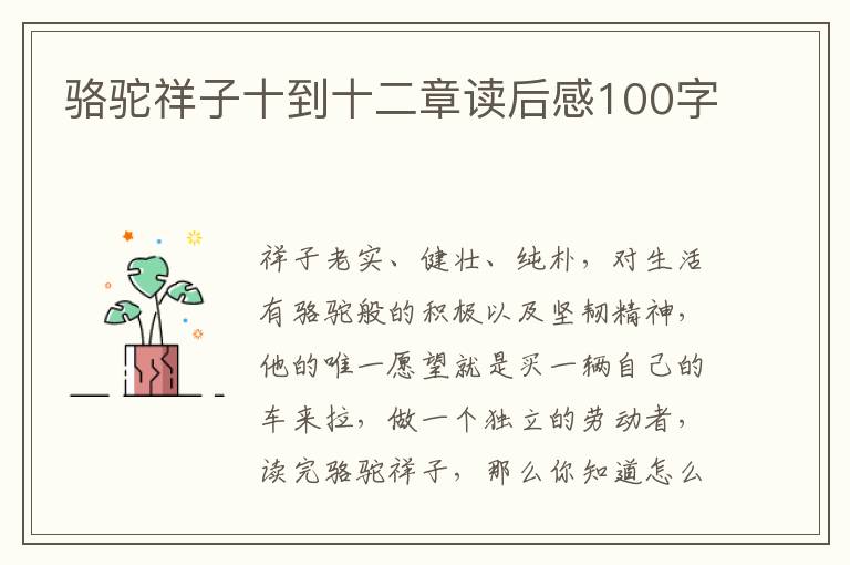 駱駝祥子十到十二章讀后感100字