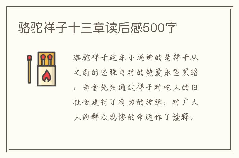 駱駝祥子十三章讀后感500字