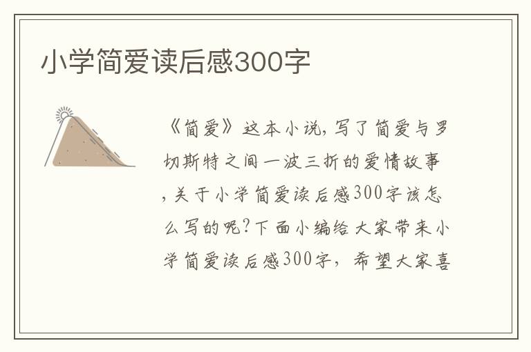 小學(xué)簡愛讀后感300字