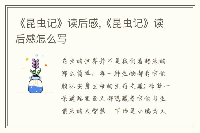 《昆蟲記》讀后感,《昆蟲記》讀后感怎么寫