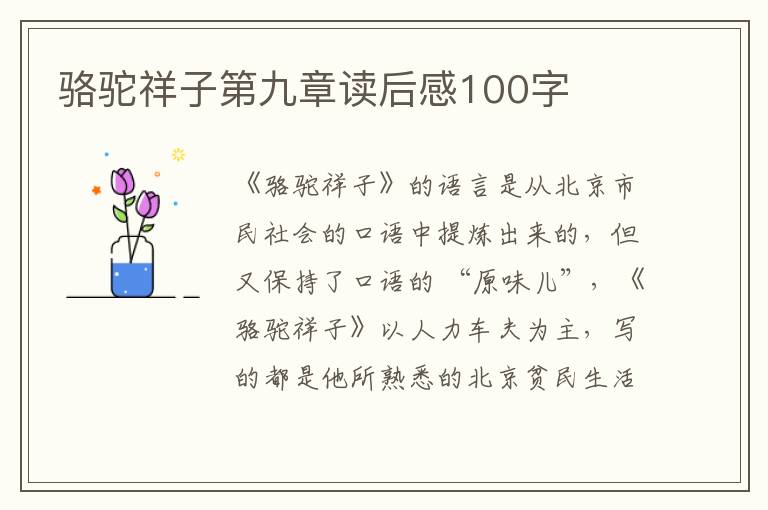 駱駝祥子第九章讀后感100字