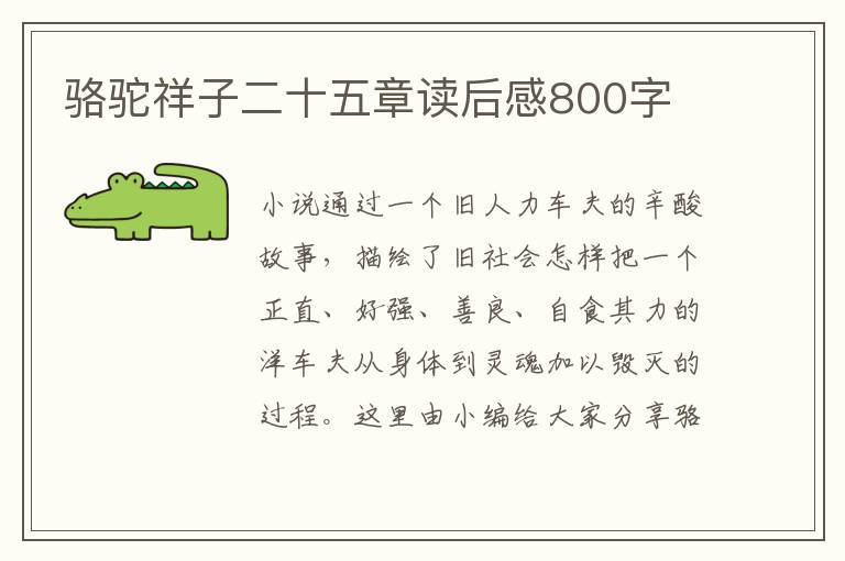 駱駝祥子二十五章讀后感800字