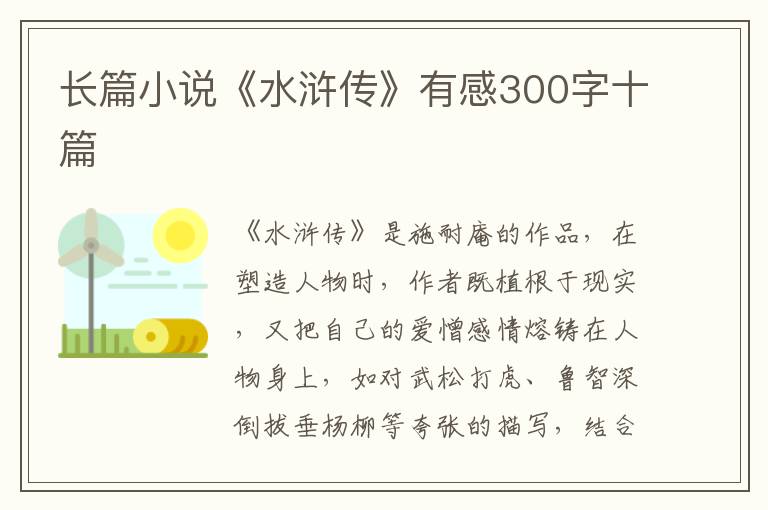 長篇小說《水滸傳》有感300字十篇