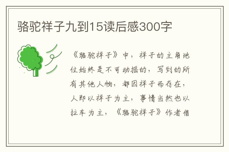 駱駝祥子九到15讀后感300字