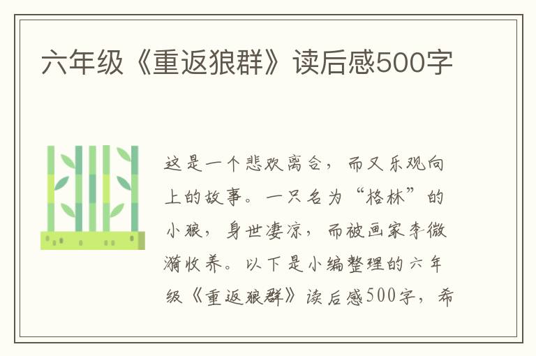 六年級(jí)《重返狼群》讀后感500字