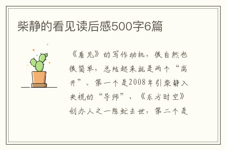 柴靜的看見讀后感500字6篇