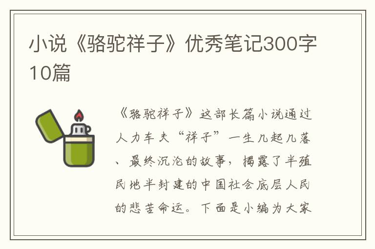 小說《駱駝祥子》優(yōu)秀筆記300字10篇