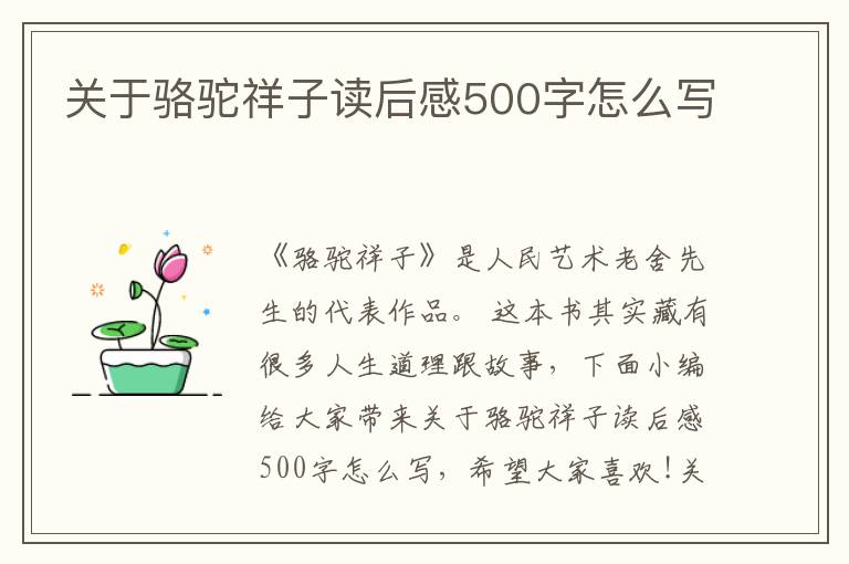 關(guān)于駱駝祥子讀后感500字怎么寫