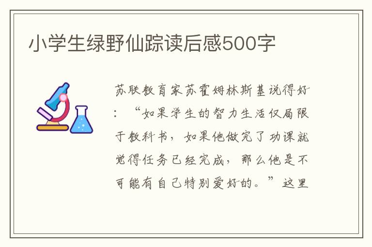 小學(xué)生綠野仙蹤讀后感500字