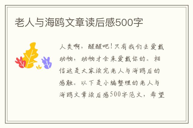 老人與海鷗文章讀后感500字