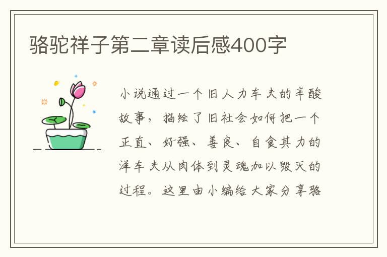 駱駝祥子第二章讀后感400字