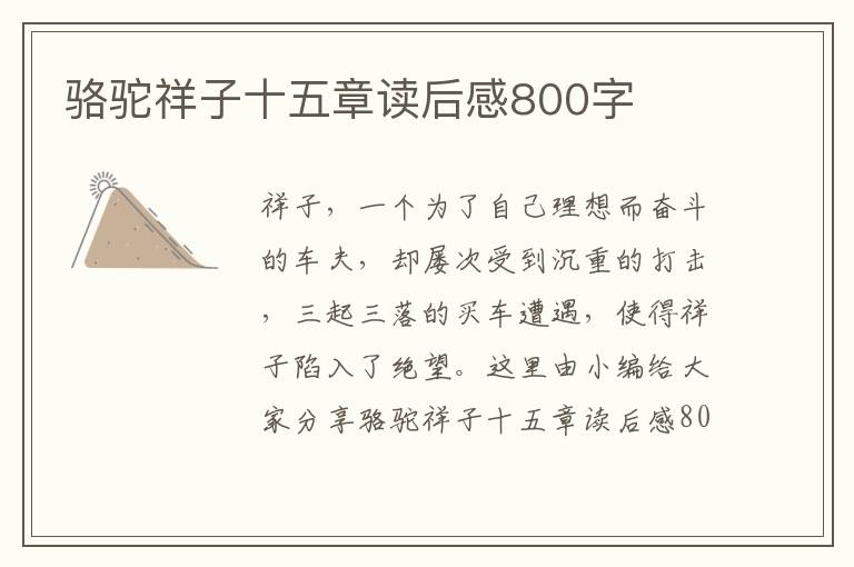 駱駝祥子十五章讀后感800字