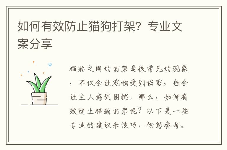 如何有效防止貓狗打架？專業文案分享