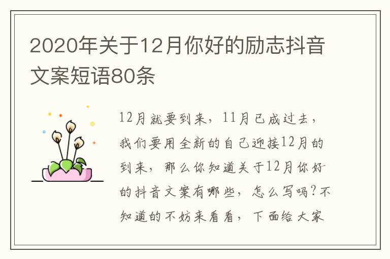 2020年關于12月你好的勵志抖音文案短語80條