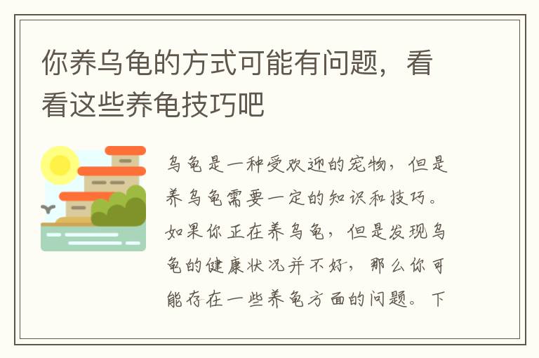 你養烏龜的方式可能有問題，看看這些養龜技巧吧