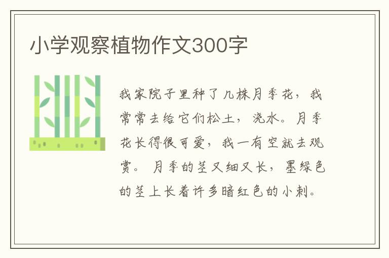 小學觀察植物作文300字