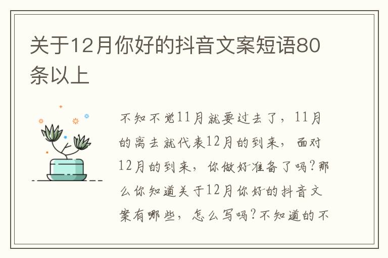 關于12月你好的抖音文案短語80條以上