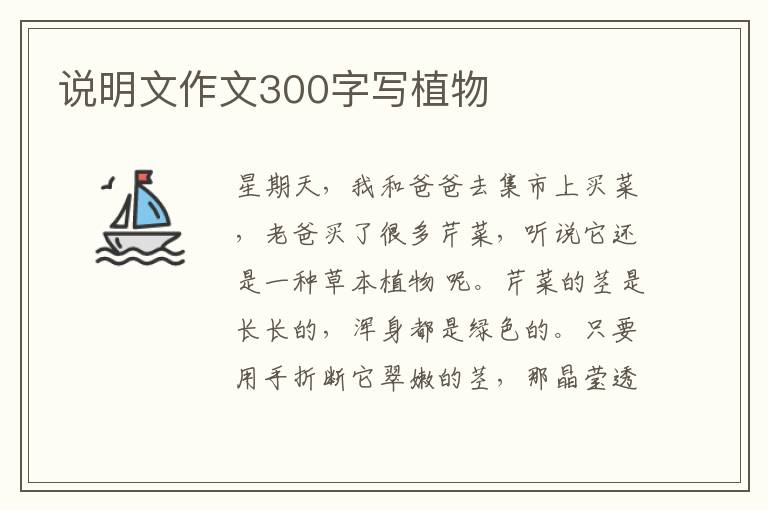 說明文作文300字寫植物