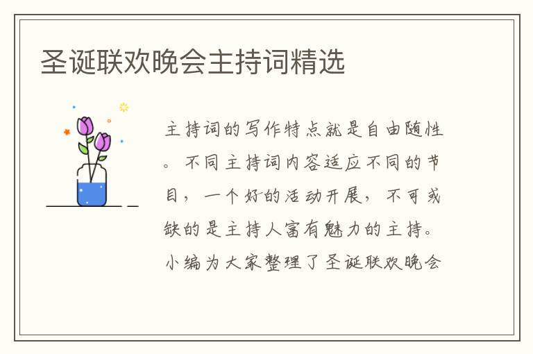 圣誕聯(lián)歡晚會主持詞精選