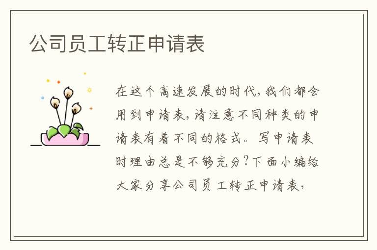 公司員工轉(zhuǎn)正申請表