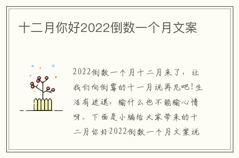 十二月你好2022倒數一個月文案