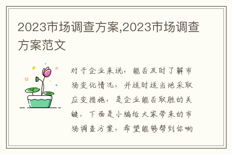 2023市場調查方案,2023市場調查方案范文