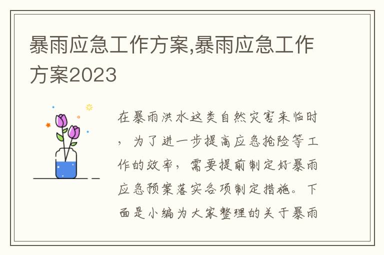 暴雨應急工作方案,暴雨應急工作方案2023